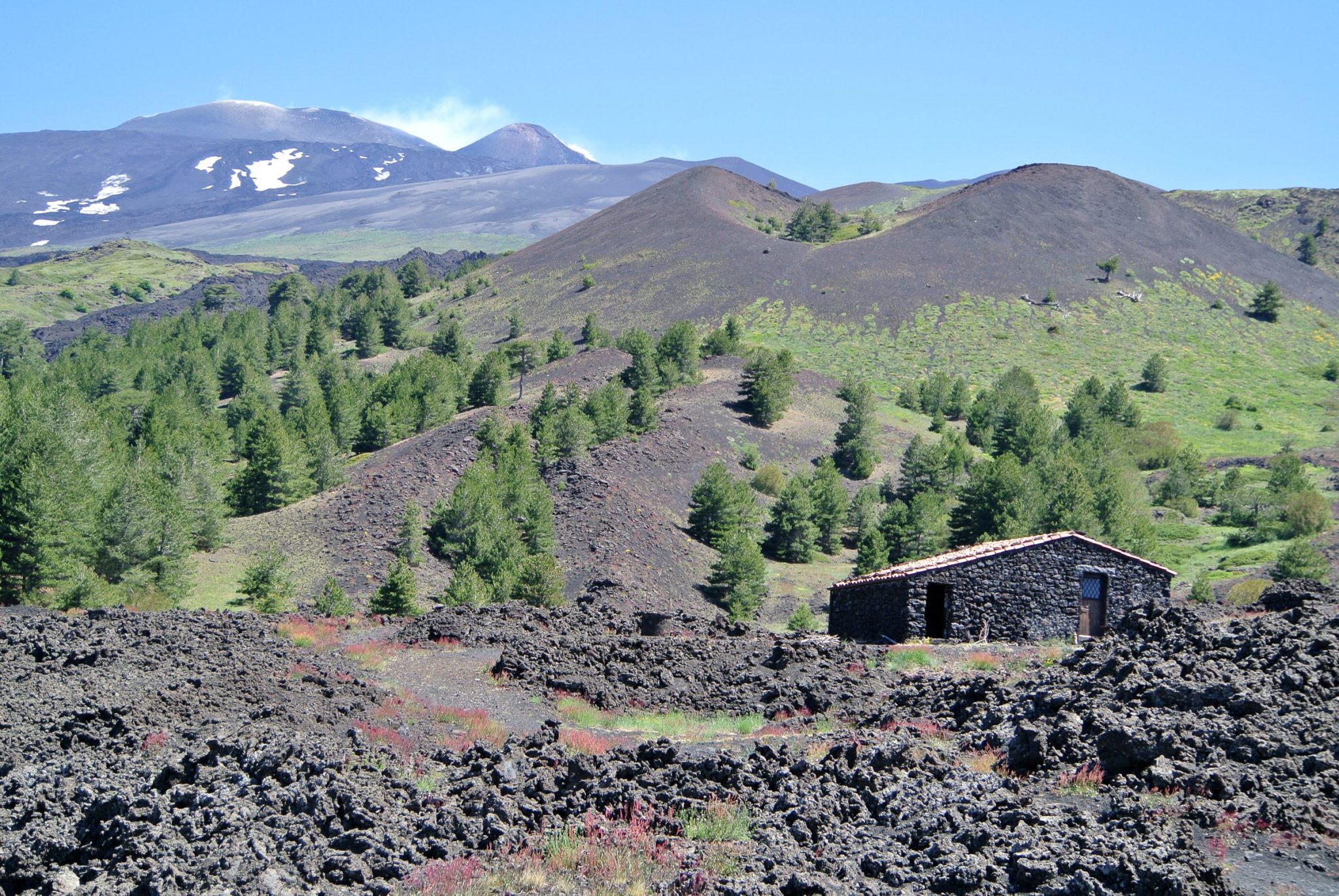 The southern slopes of Etna among pines and lava